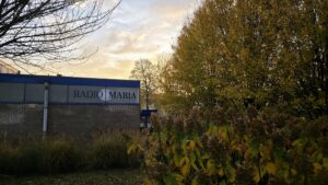 Studio's herfst Studio’s herfst