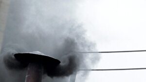 Zwarte Rook