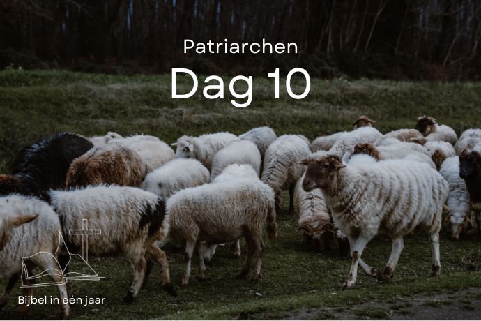 Bijbel in een jaar. Dag 10 (Patriarchen) episode artwork