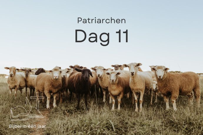 Bijbel in een jaar. Dag 11 (Patriarchen) episode artwork