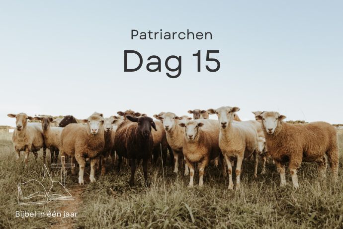 Dag 15