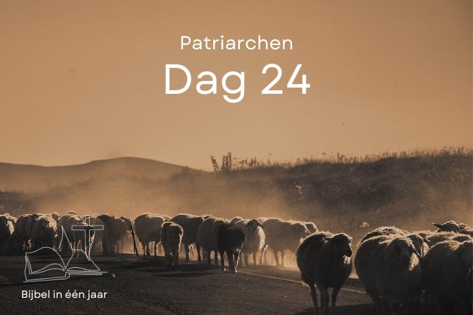 Dag 24 Dag 24