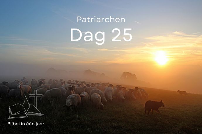 Dag 25 Dag 25