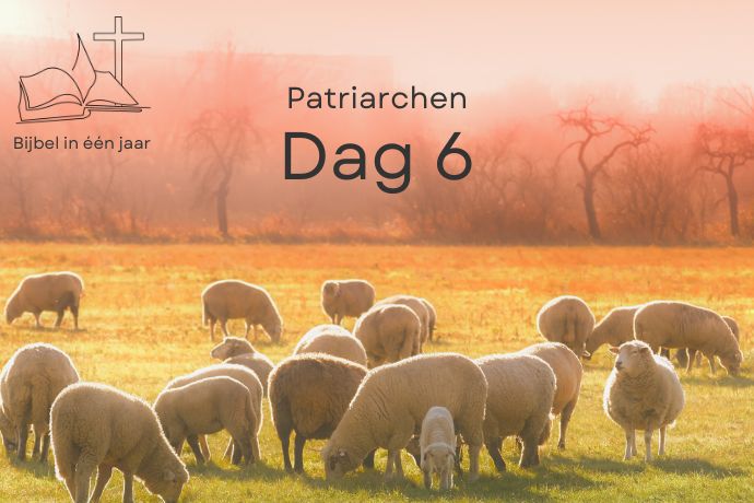 Bijbel in een jaar. Dag 6 (Patriarchen) episode artwork