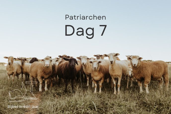 Bijbel in een jaar. Dag 7 (Patriarchen) episode artwork