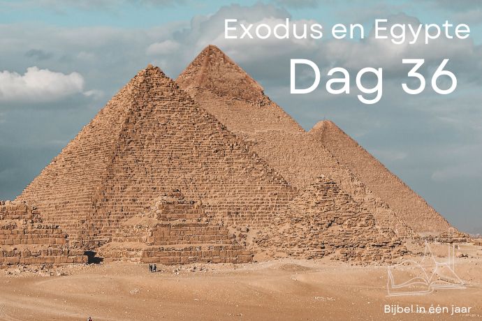 Bijbel in een jaar. Dag 36 (Egypte en Exodus)