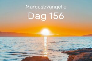 Dag 156