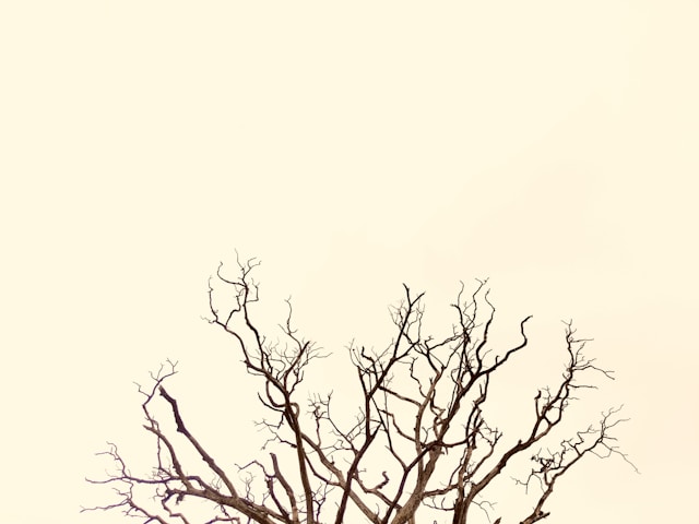 takken boom