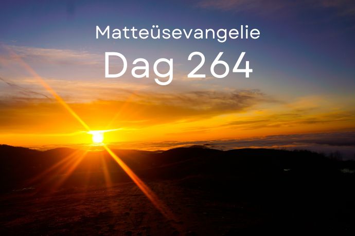 Dag 264