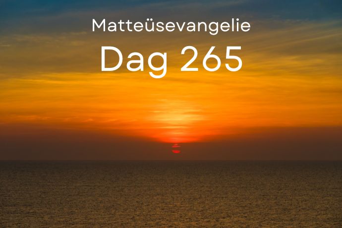 Dag 265