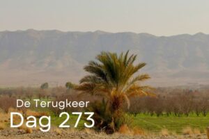 Dag 273