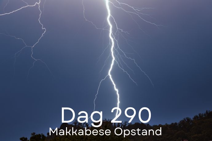 Dag 290