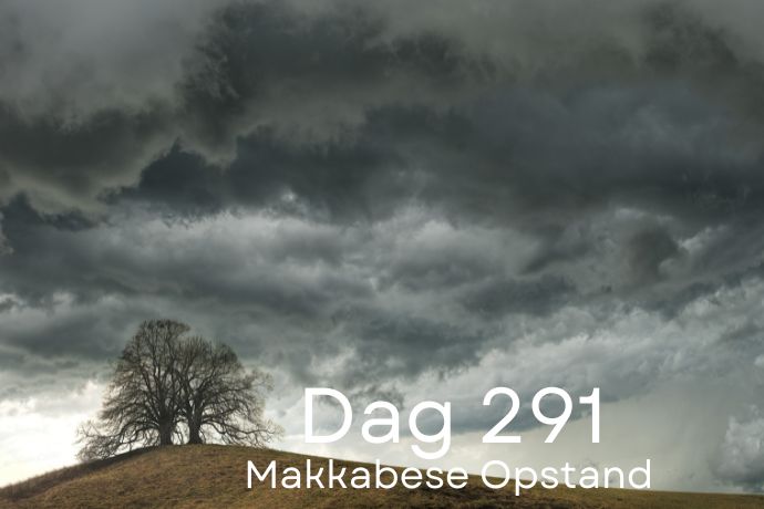 Dag 291
