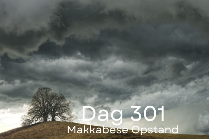 Dag 301