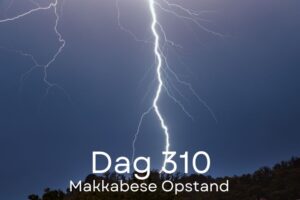 Dag 310
