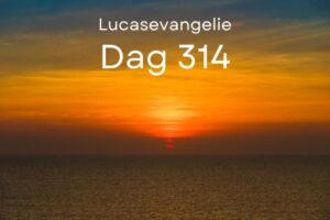 Dag 314