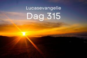 Dag 315