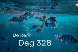 Dag 328 Dag 328