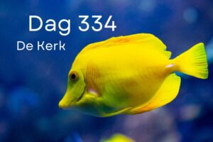 Dag 334 Dag 334