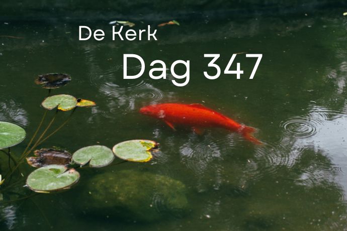 Dag 347