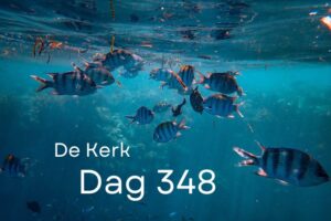 Dag 348 Dag 348
