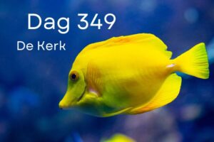 Dag 349