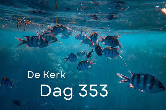 Dag 353