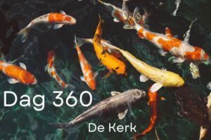 Dag 360 Dag 360