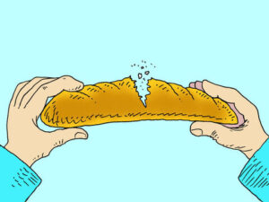 brood